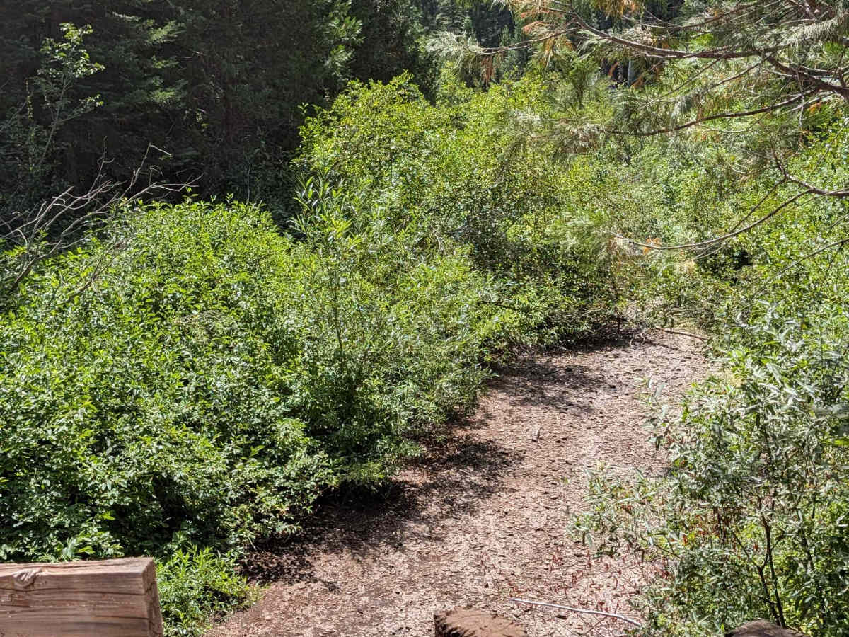 Cow Creek - FS 39N90 photo 5