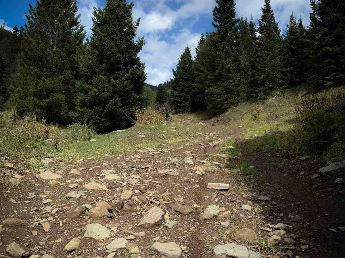 Sardinas Canyon Trail - FS 12 photo 3