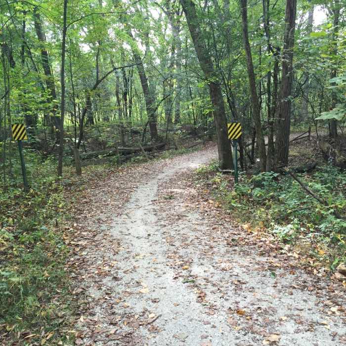 Around mile 4 on the Yellow Loop. Near Deer Grove Forest Loop