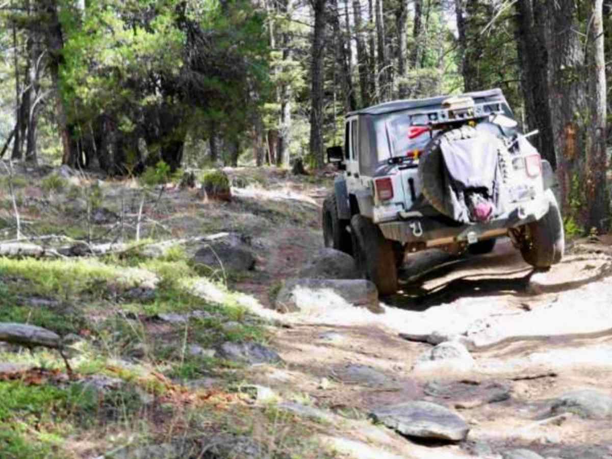 Little Boulder River Rd photo 4