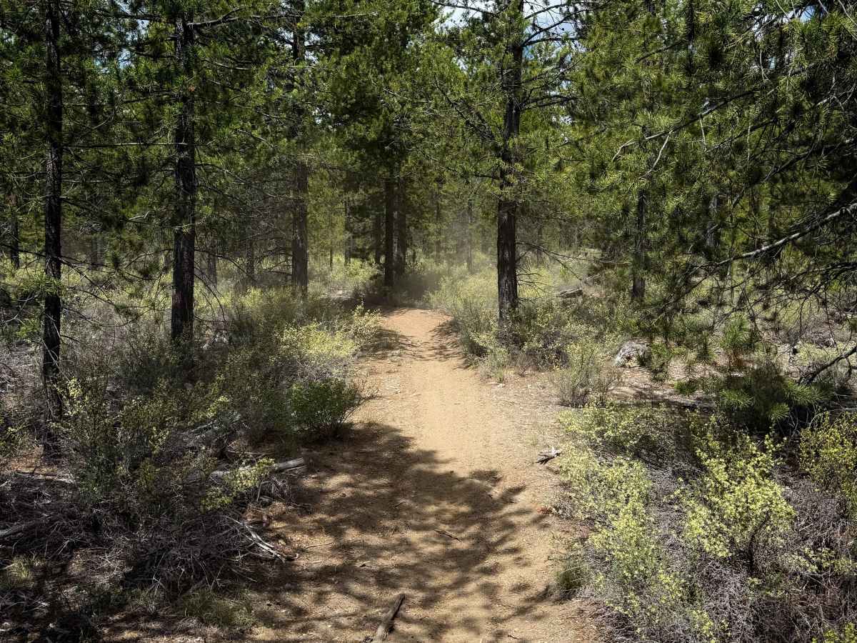 Trail 37  photo 4