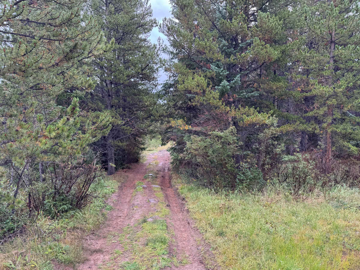 West Tennessee Road photo 5