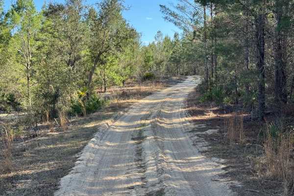 Doe Road