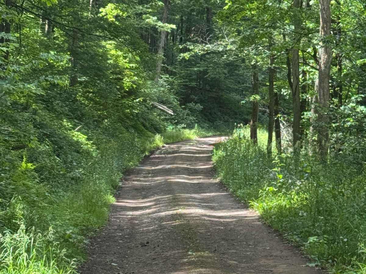 Nelson Run Road photo 4