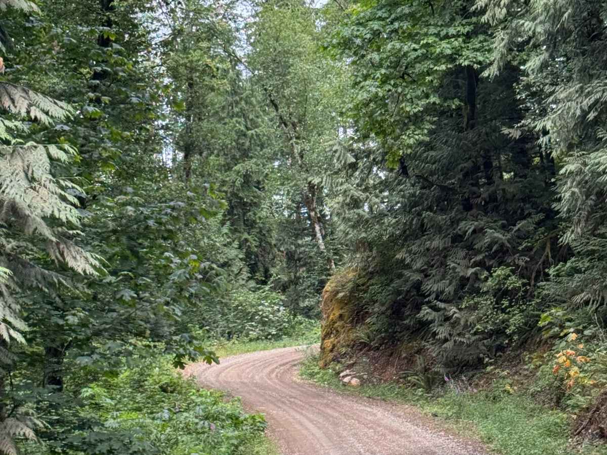 Francis Lake Back Entry photo 4