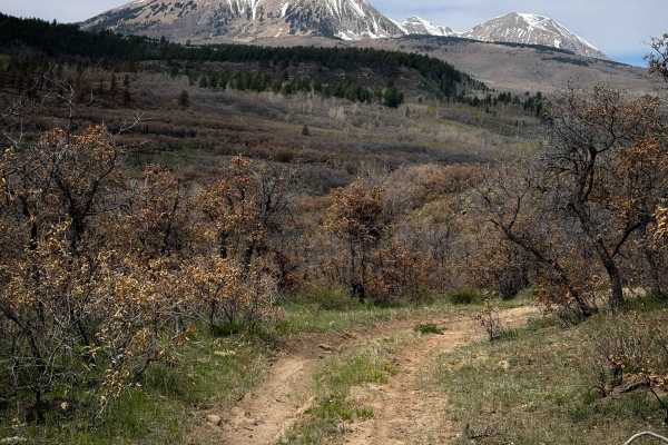 Lower 2 Mile Loop 