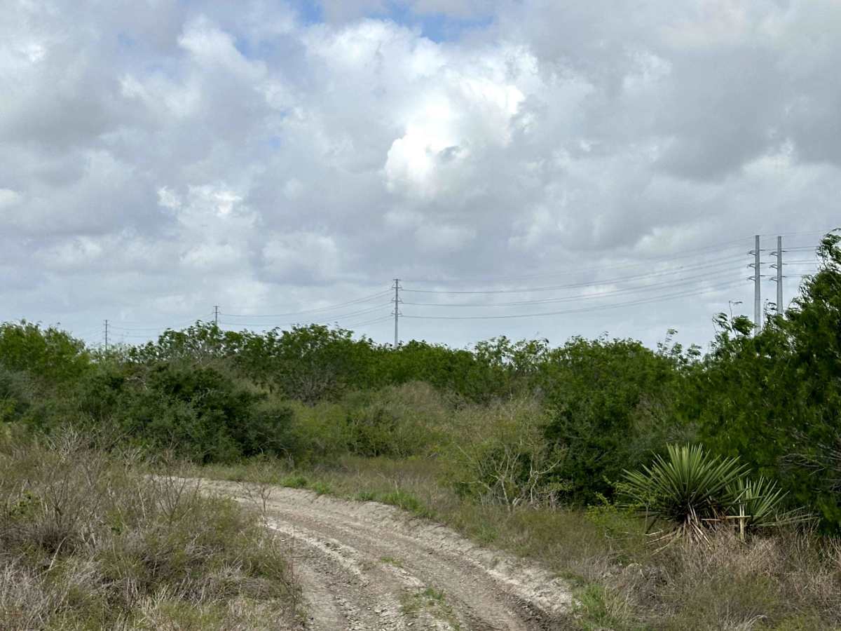 Watchtower photo 3