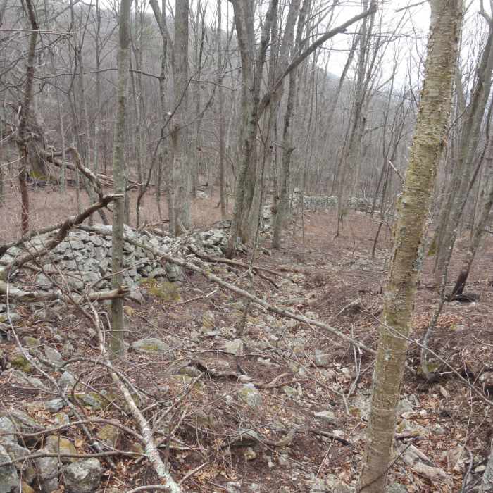 Near Cole (Cold) Mountain Loop