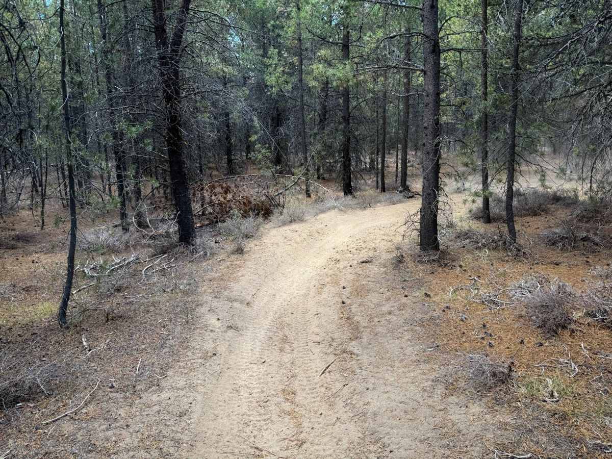 Trail 18  photo 6