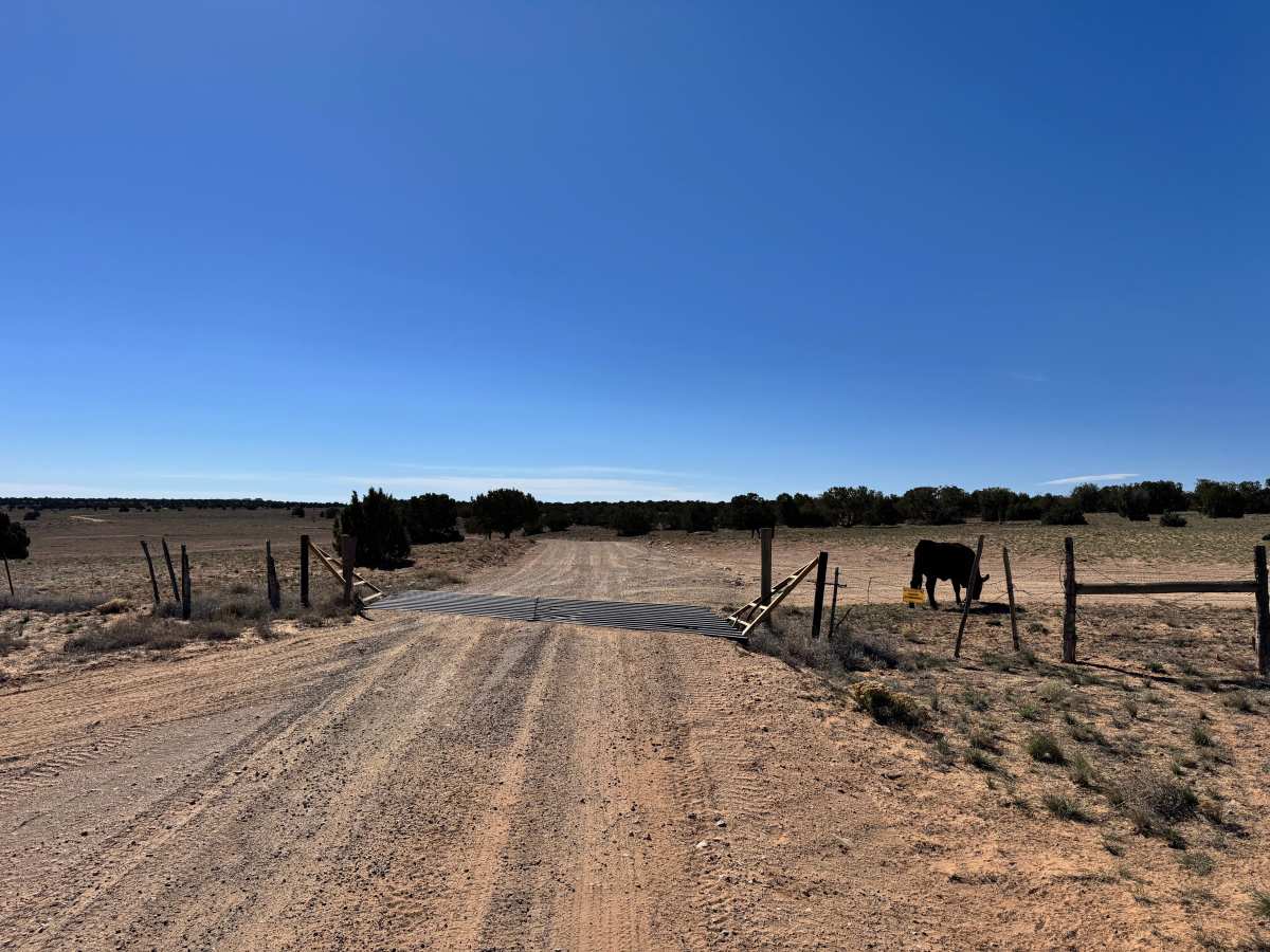 Box Flat Road photo 4