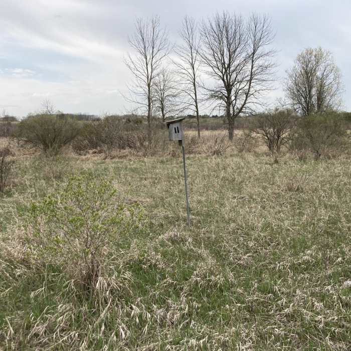 Near Ancient Shores Trail Near Ancient Shores Trail