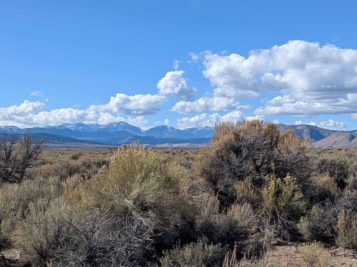 Wilfred Canyon Cutoff - FS 4S148 photo 3