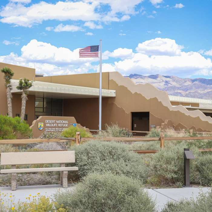 Near Jackrabbit Loop