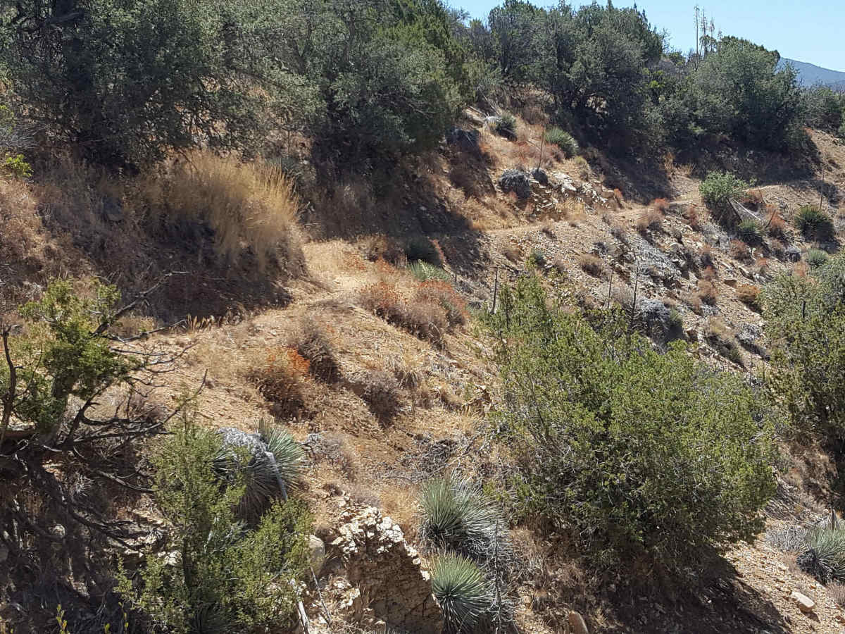 Piru Creek - FS 20W07 photo 4