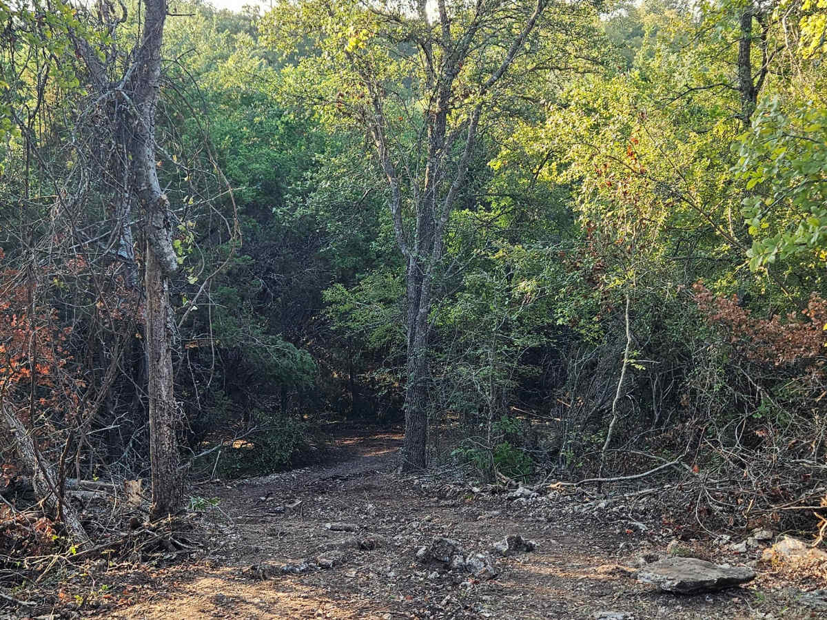 Rattlesnake Alley photo 3