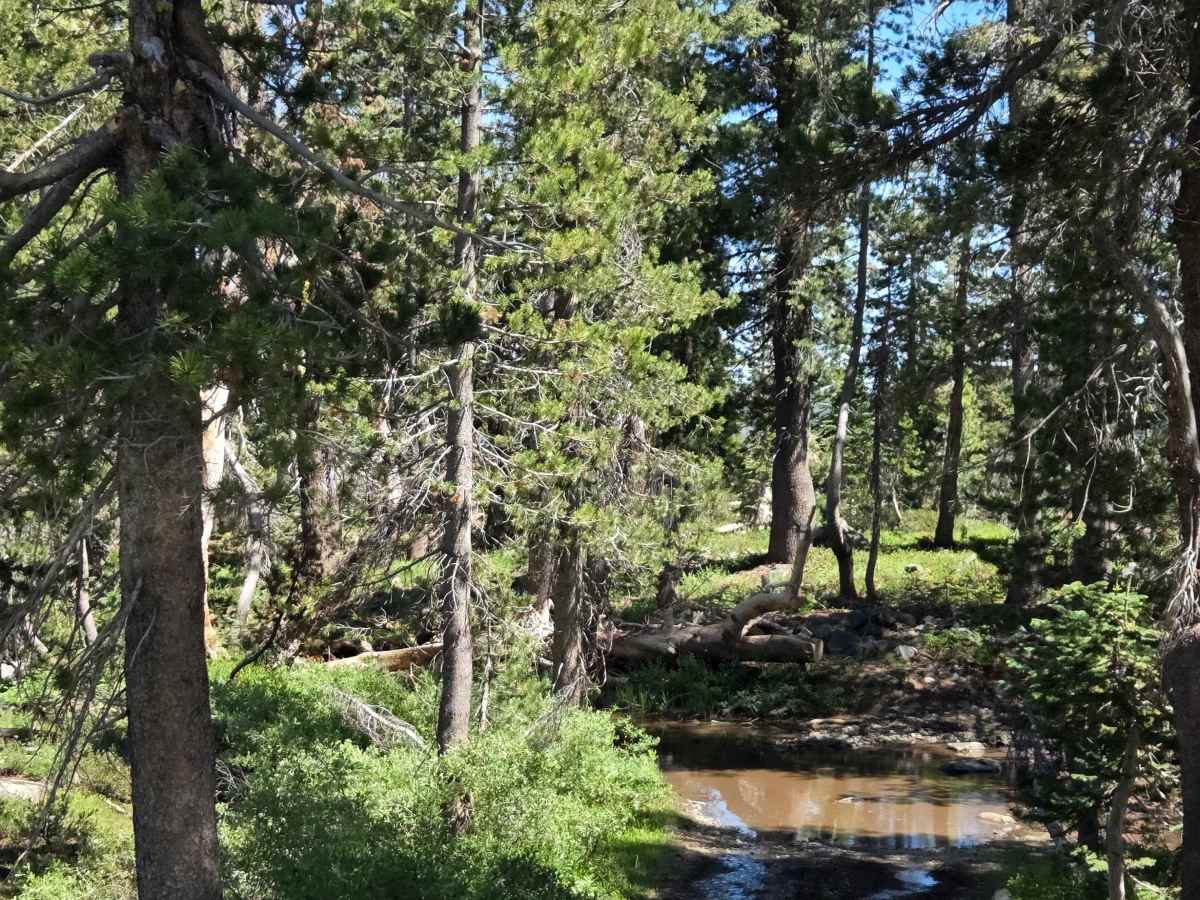 Excelsior Mine photo 5