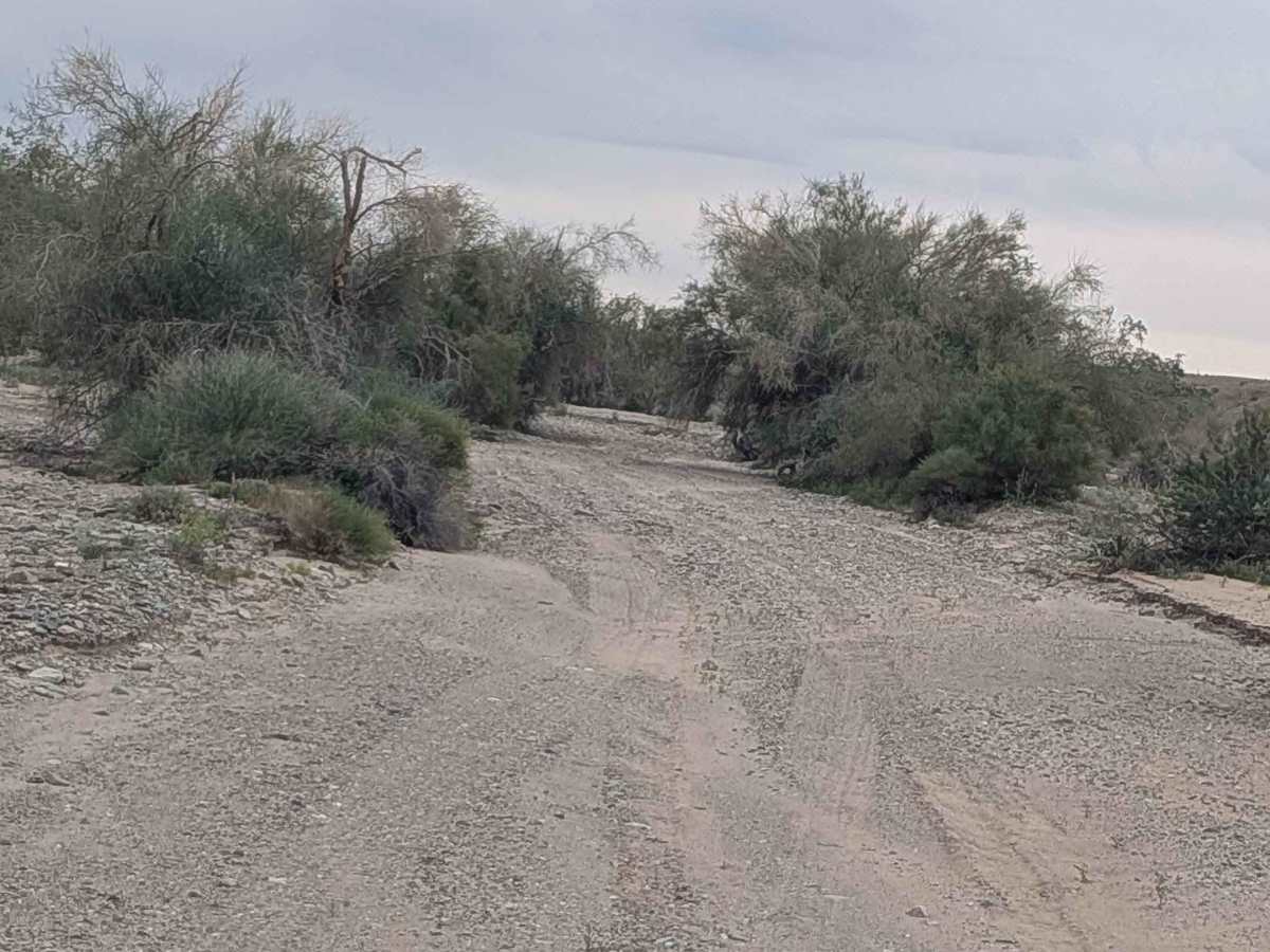 EC1229 trail photo
