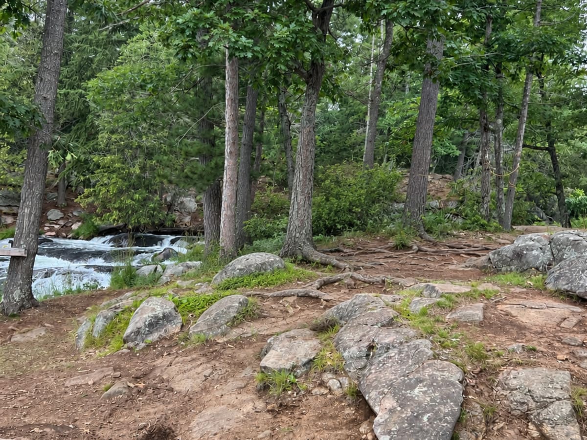 Havelock Belmont Trail trail photo