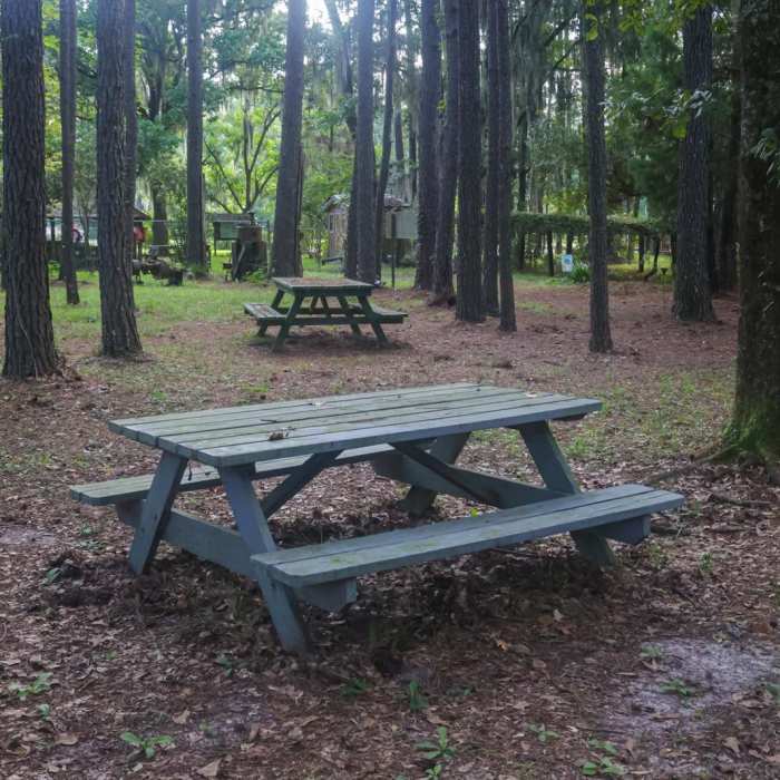 Near Sand Hills Trail via Ridge / Holly Trails Near Sand Hills Trail via Ridge / Holly Trails