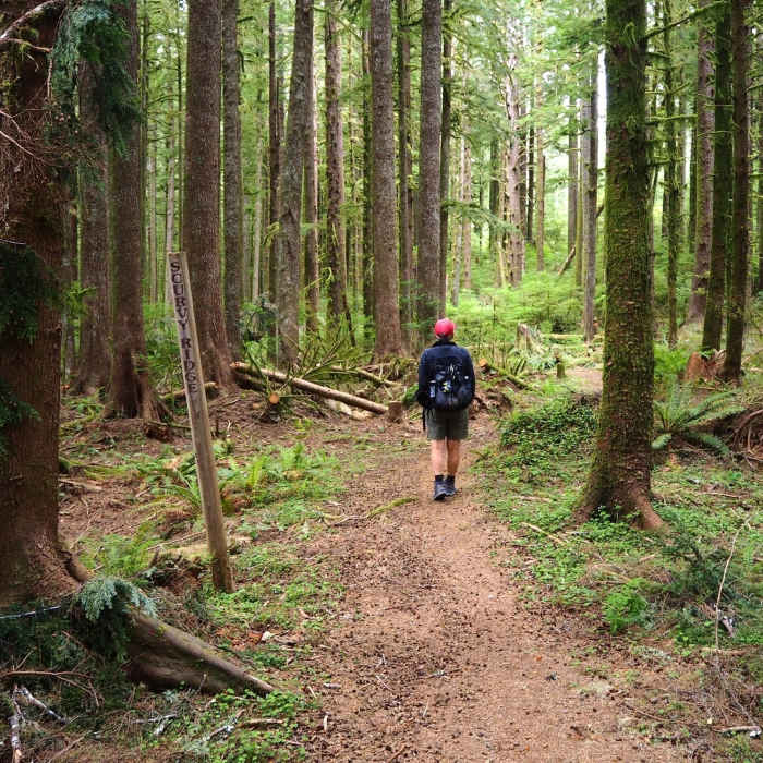 Near Berry Creek Trail #1329.8