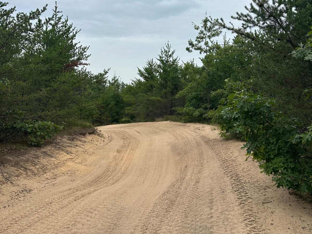 Hill Drive  photo 4