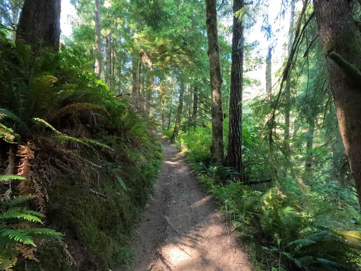 Sadie Creek Trail photo 5