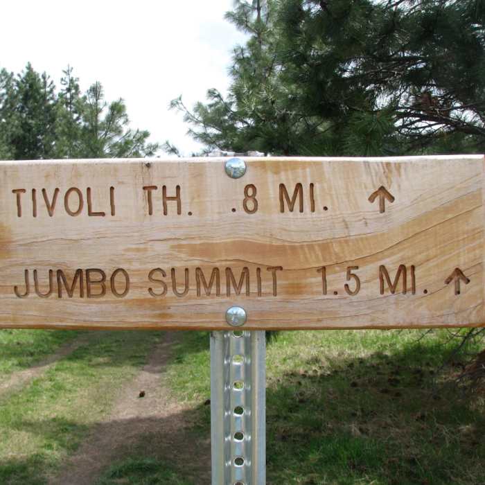 Near Mount Jumbo Saddle Trail