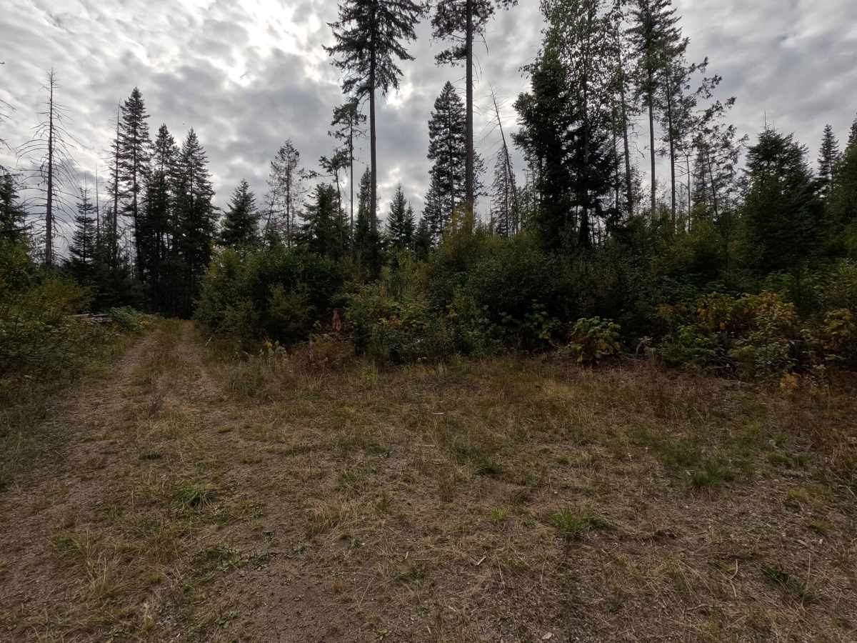 Galena Basin - FS 1089 photo 6