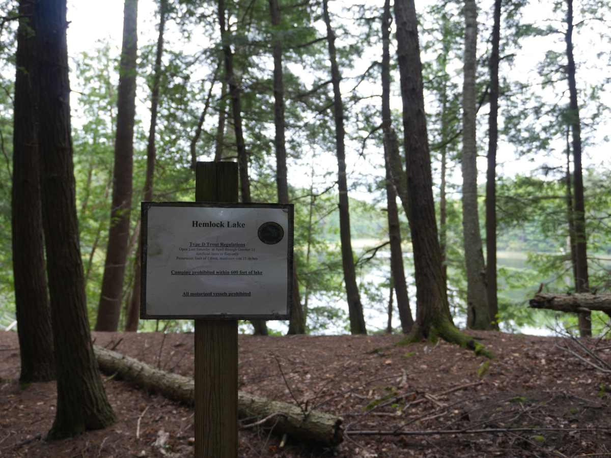 Hemlock Lake Trail photo 3