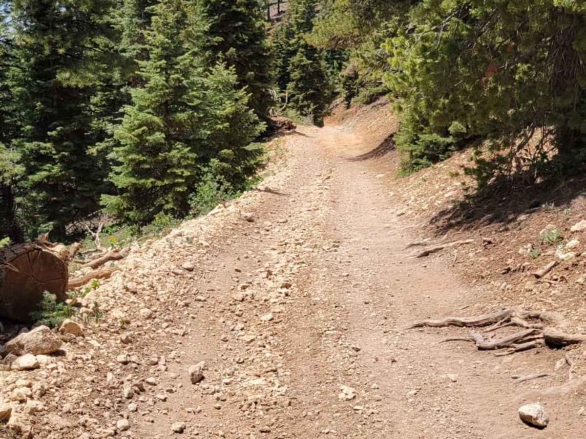 Harris Rim Loop Connector photo 3