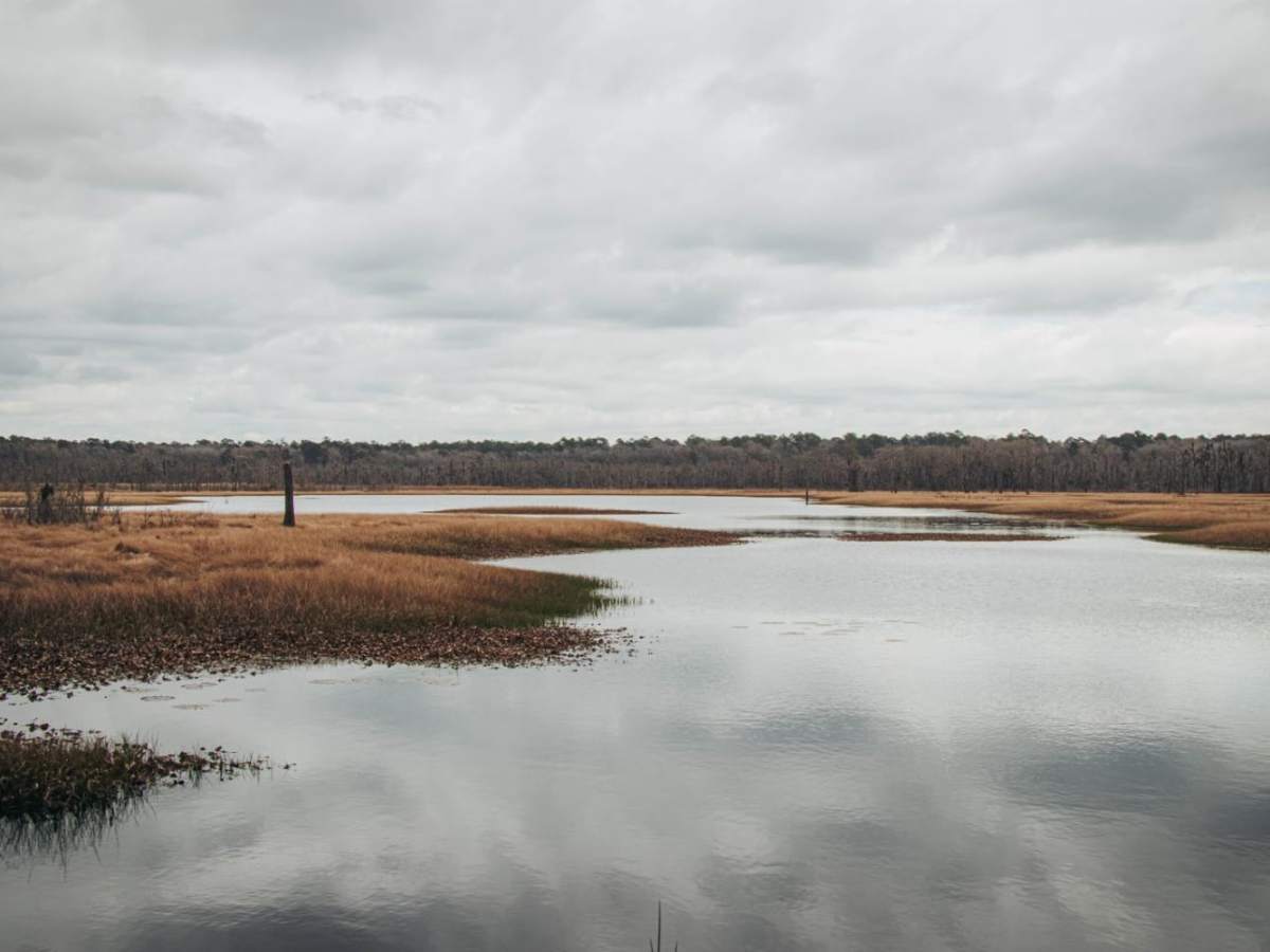 Donnelly Wildlife Management Area trail photo