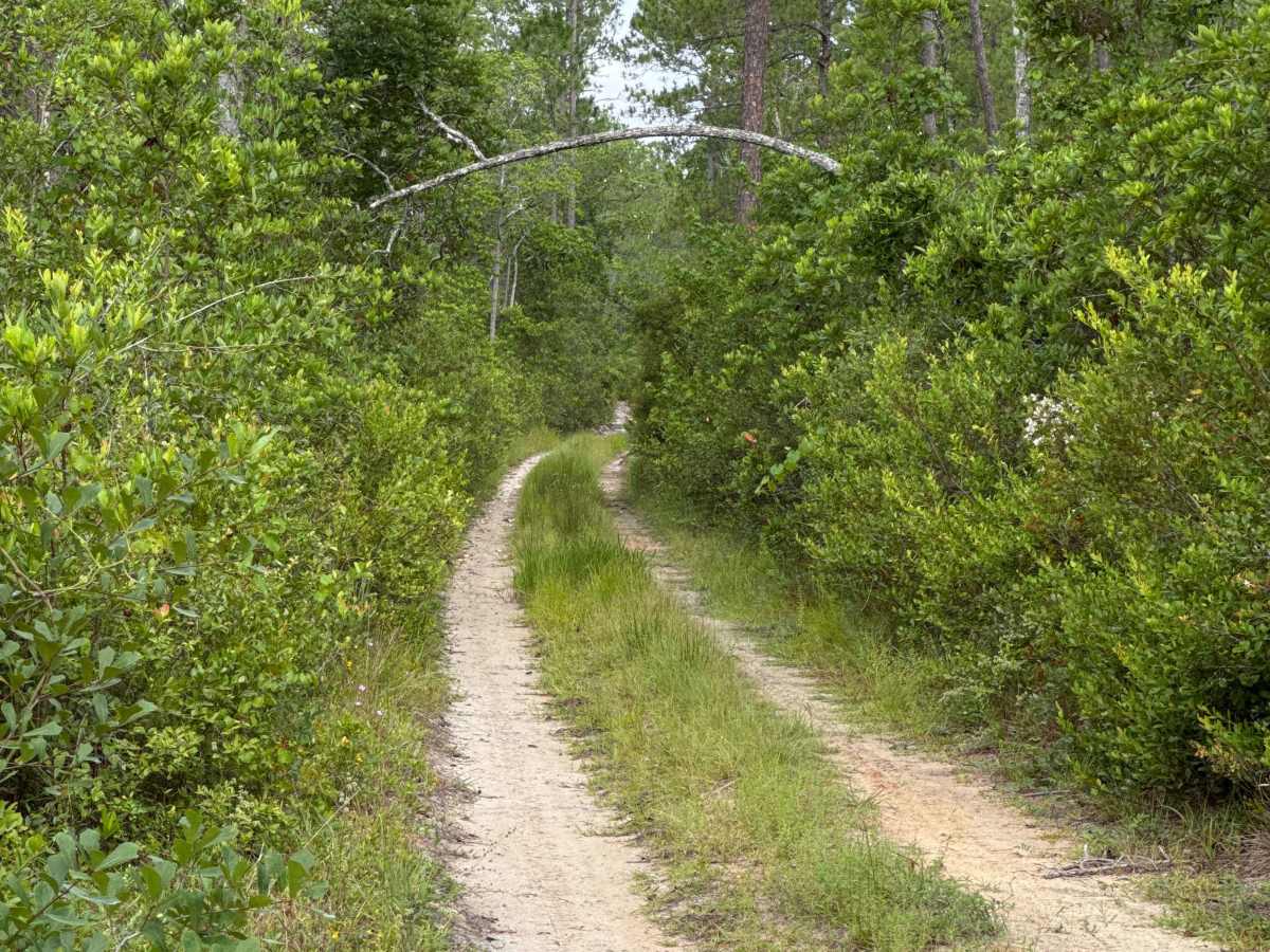 Jumper Creek - FS 34 trail photo