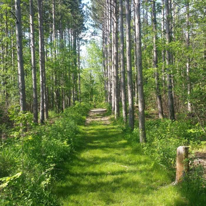 Near Short Hiking Loop