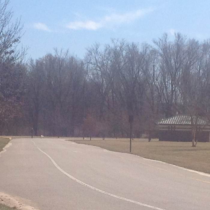 Nice flat road, plenty of shoulder for everyone! Near Dames Park Figure 8