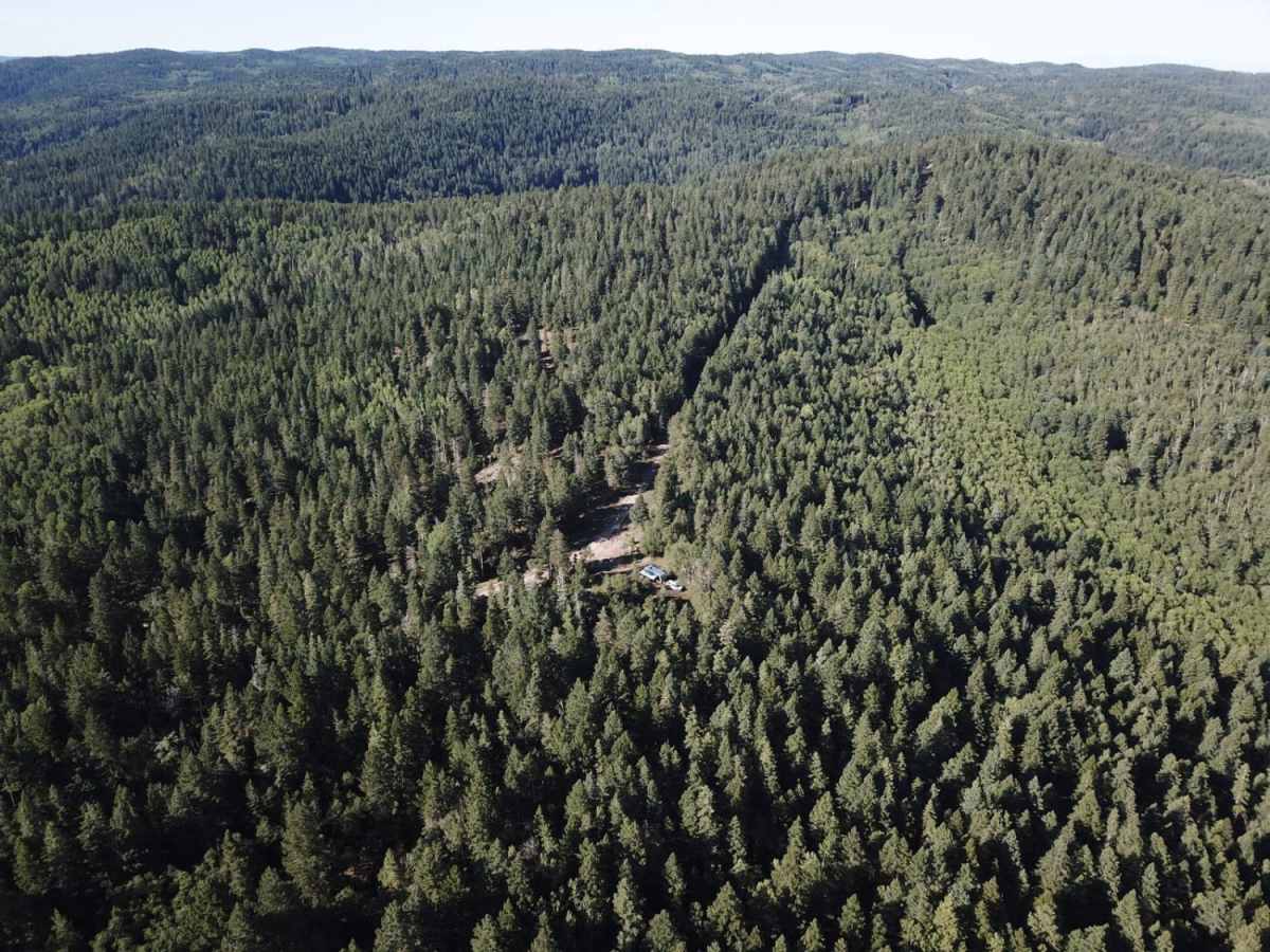 FR623 photo 2