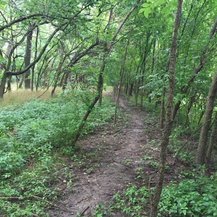 Near Knebler Pond Loop