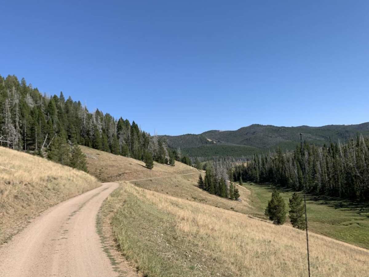 Champion Pass trail photo