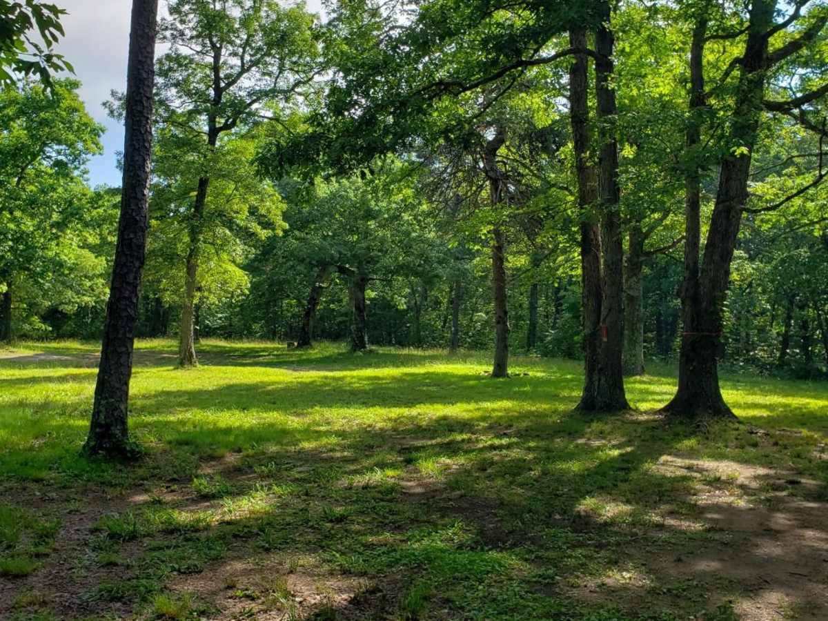 Catoosa WMA Noah Hambey photo 3