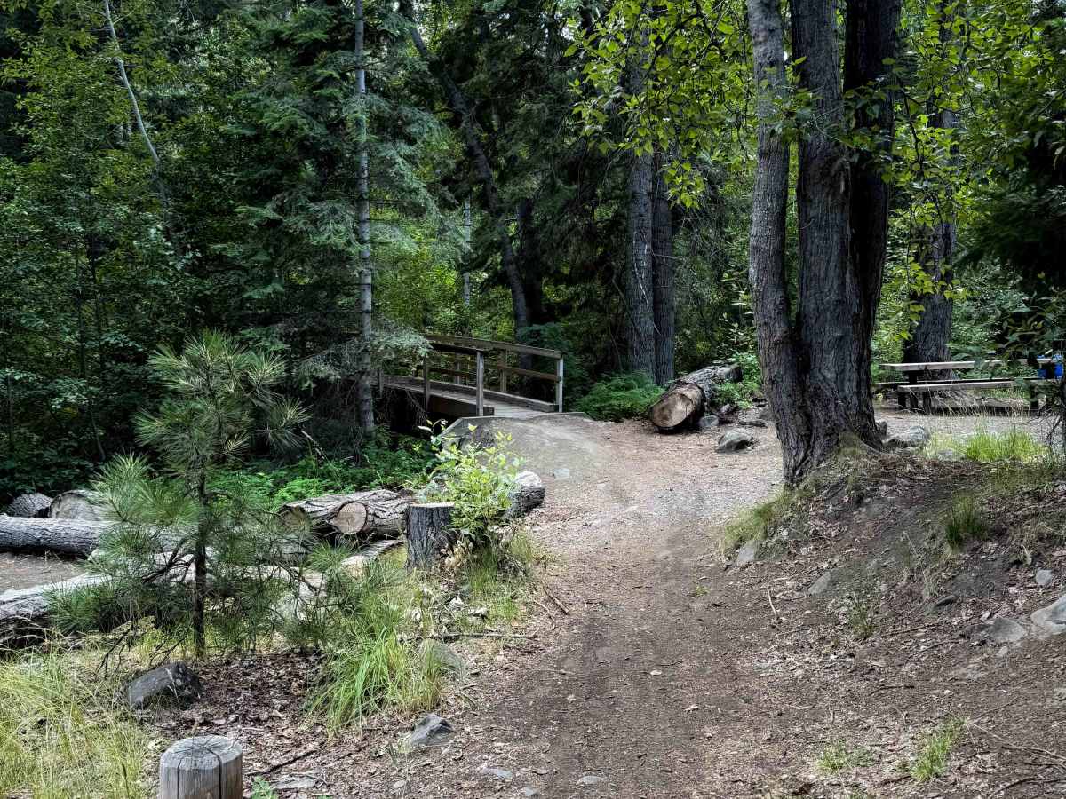 Taneum Cub Trail - FS 1370  trail photo