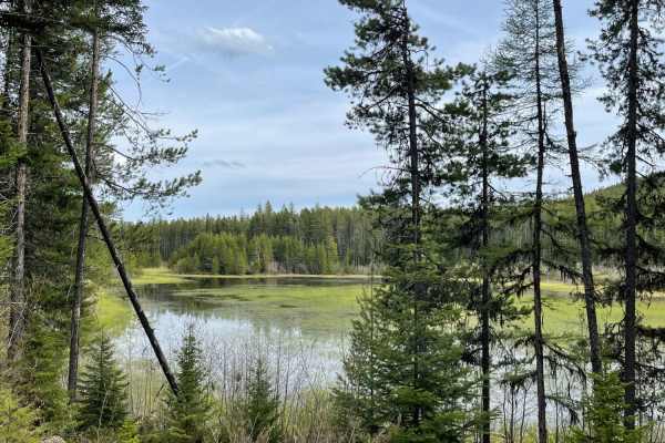 Lindbergh to Meadow and Bunyan Lake