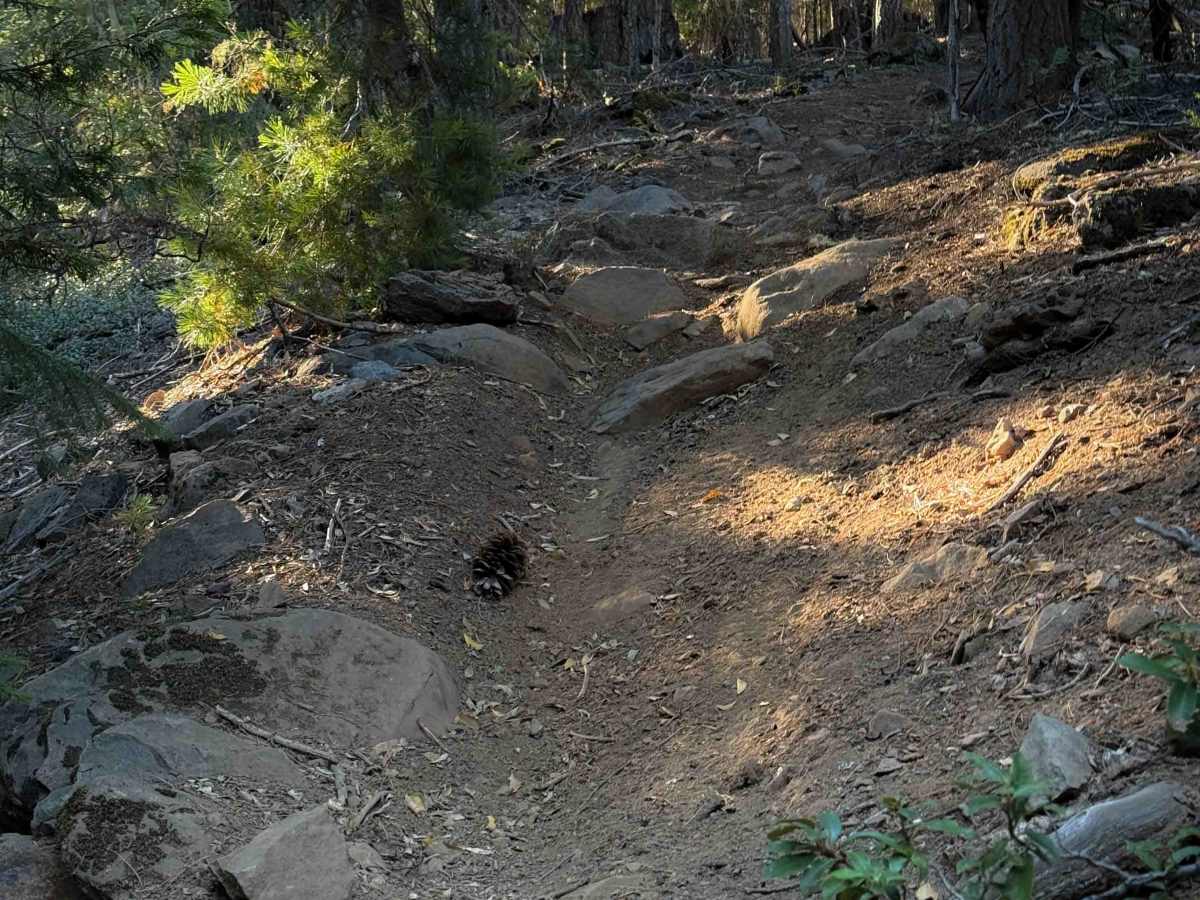 Sunshine OHV #22 photo 2