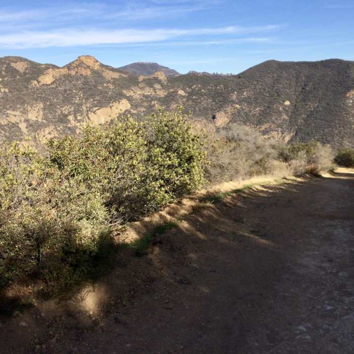 Near Zuma Canyon Loop