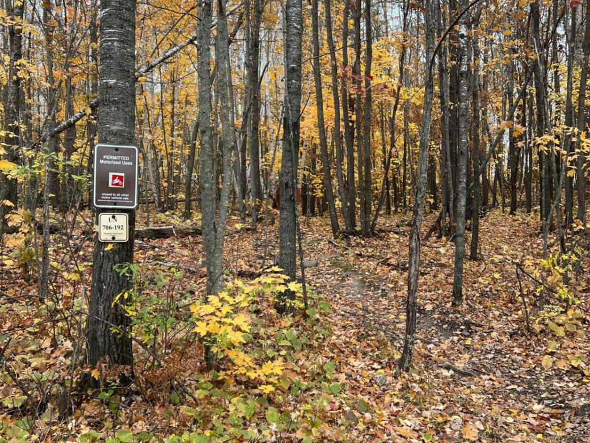 Paul Bunyan North Loop Saga trail photo