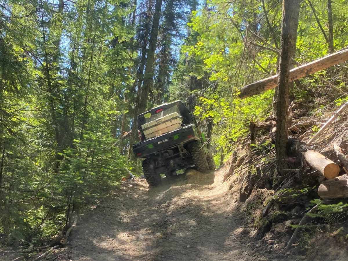 Mack King Trail photo 5