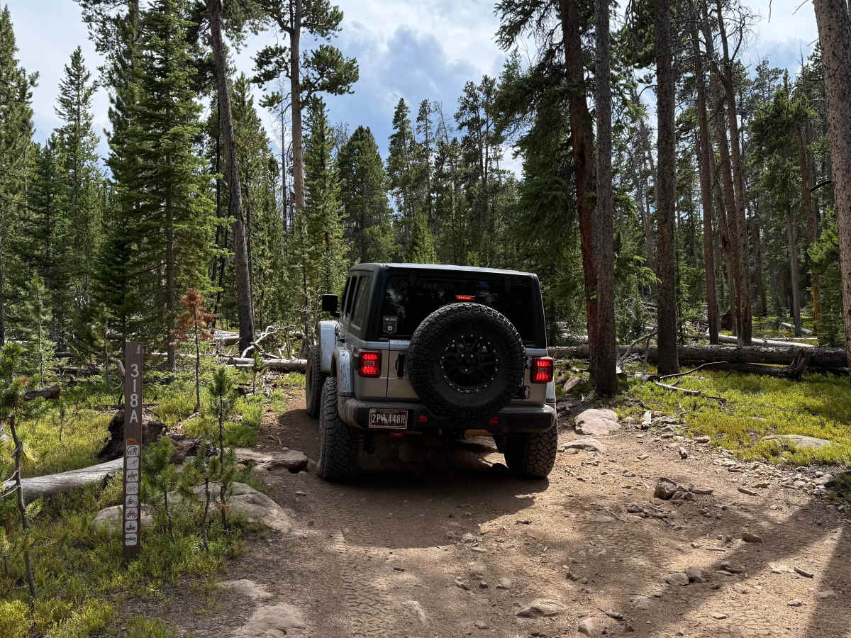 Forest Service Road 318.A photo 4