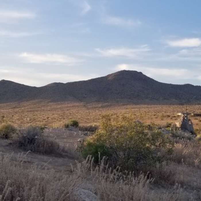 Near Dowen Nature Trail