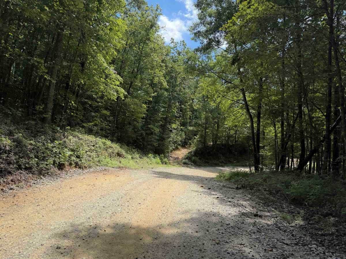 Cumberland Mountain Trail photo 4