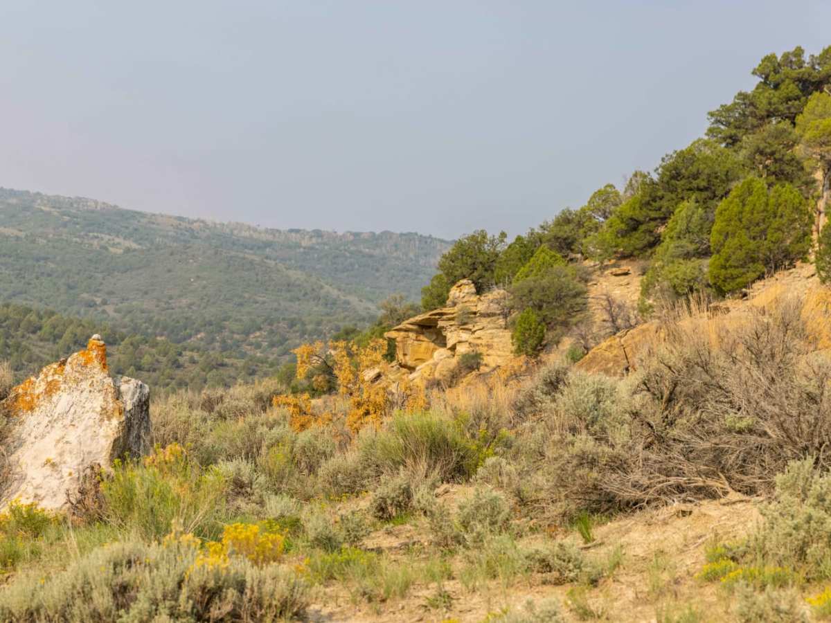 Wide Hollow photo 3