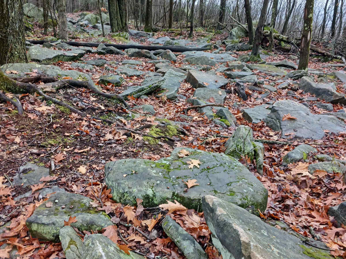 OHV 33 - Rock Run Recreation Area trail photo