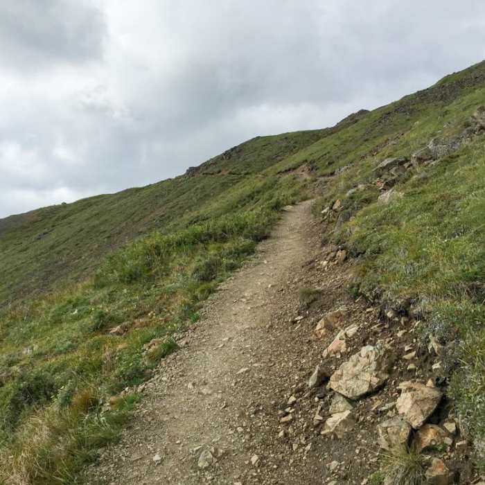 Near Eielson Alpine Trail Near Eielson Alpine Trail